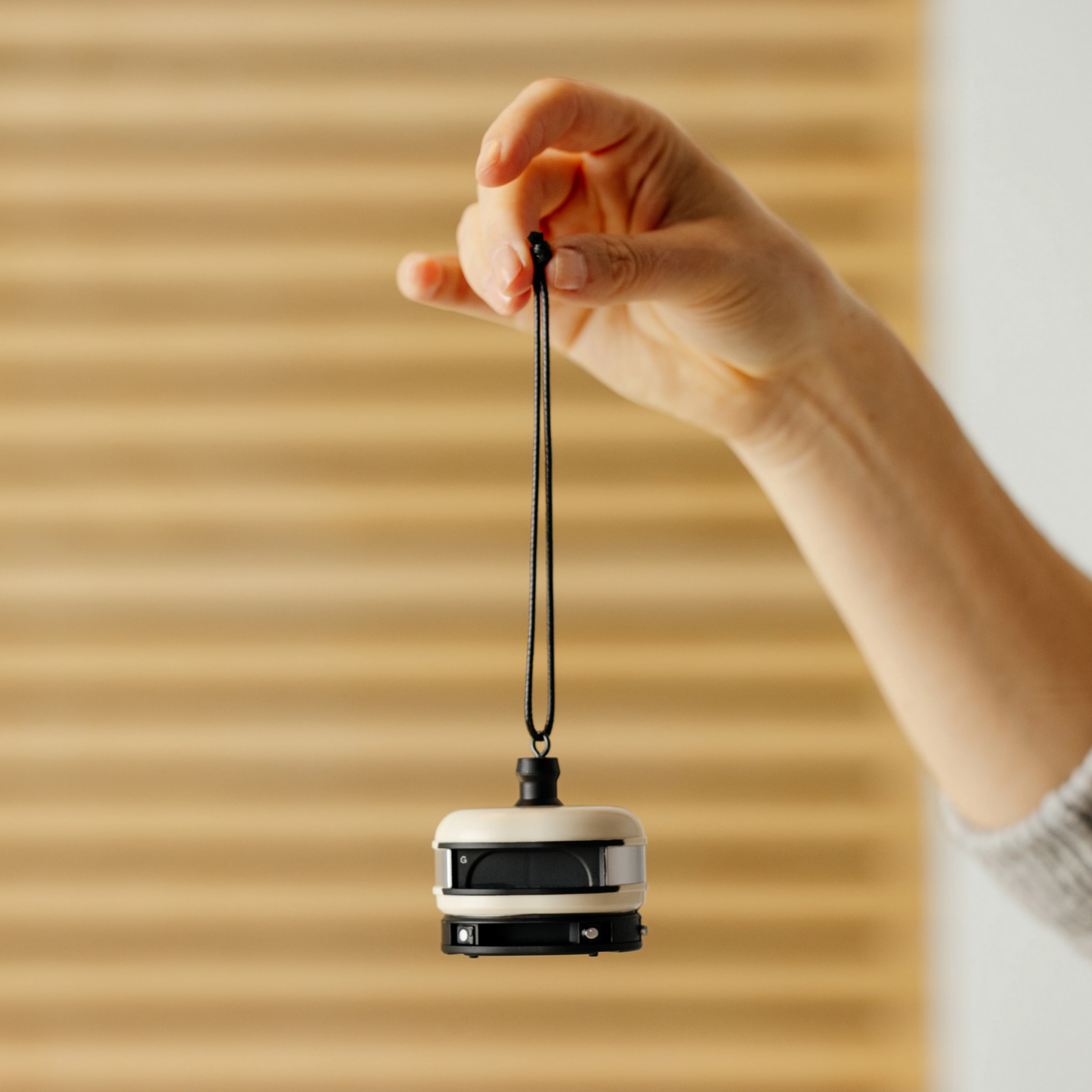 GOZNEY° Special Edition Dome Ornament