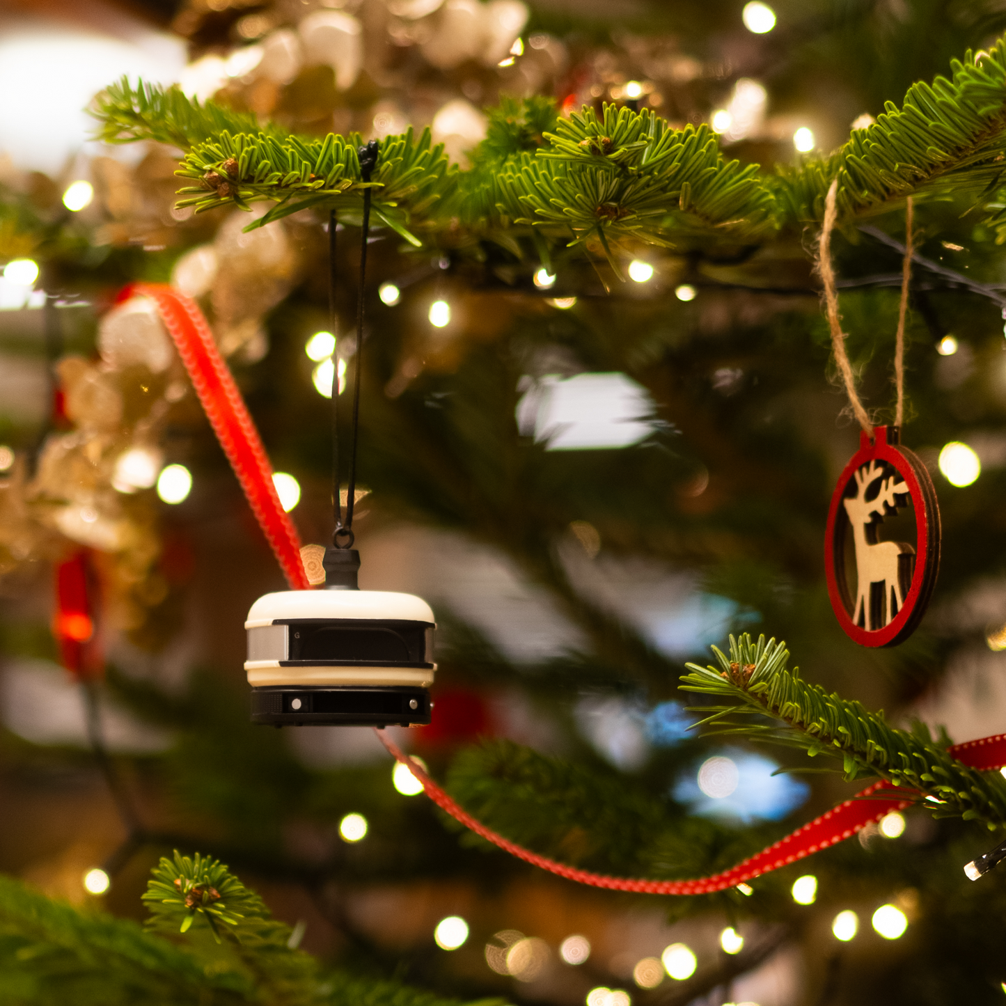 GOZNEY° Special Edition Dome Ornament