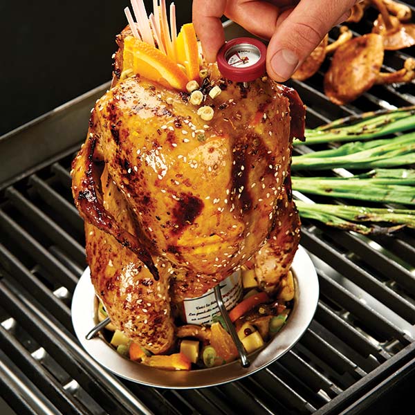 Broil King® Chicken Roaster