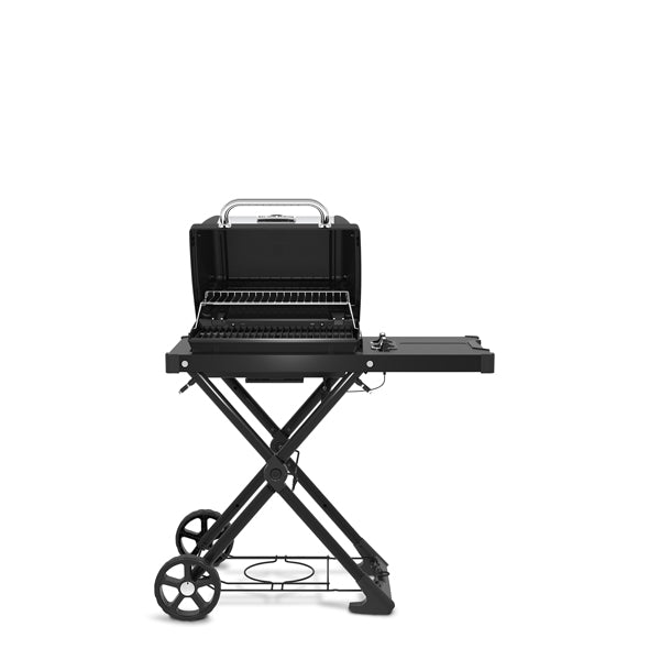 Broil King® Porta-Chef™ AT220 2-Burner Portable Propane Gas Grill