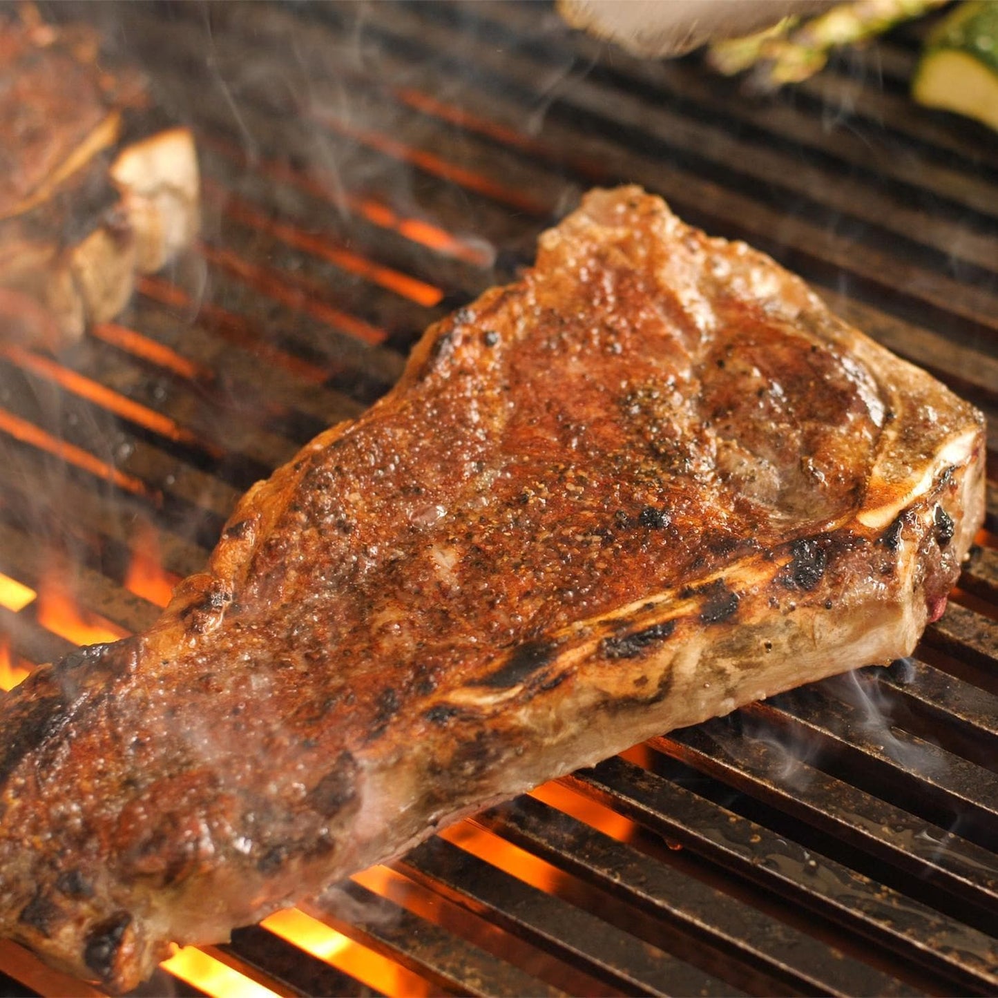 Fire Magic® Echelon Diamond E1060I 48" Built-In Natural Gas Grill [CLOSEOUT SALE]